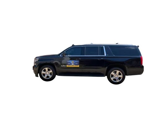 D&L_Electric_Car_Magnet