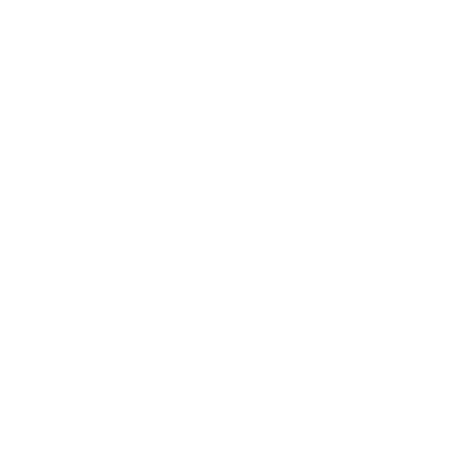 Savvy Agency Logo